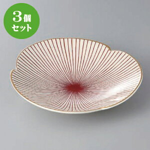 3Zbg  t {ԏ\O [ 20 x 19.5 x 3.5cm ] | aH   {E   ze H Ɩp HX JtF    킢 Mtg v[g j a