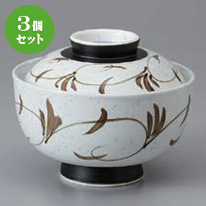 3Zbg ~َqq n~َqq [ 12.3 x 10.5cm ] | ϕ   B q lC  H Ɩp HX JtF    킢 Mtg v[g o a 