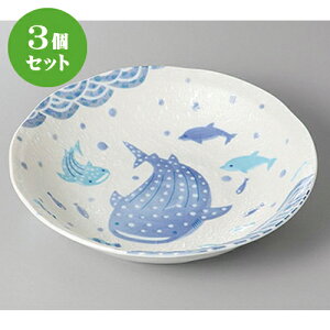 3Zbg g Wx[5.0 [ 16.8 x 4cm ] |   {E {[ H Ɩp HX JtF    킢   Mtg v[g o j j