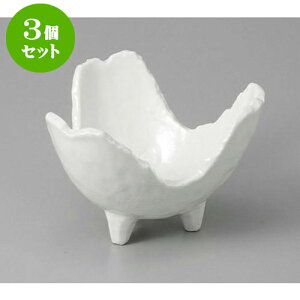 3Zbg ό` ֊R [13.5 x 13 x 8.6cm] |     {E \ lC  H Ɩp HX JtF    킢 Mtg v[gj j