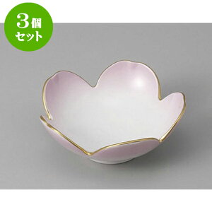 3Zbg ԓ sN^ [11.5 x 4.5cm] |     {E \ lC  H Ɩp HX JtF    킢 Mtg v[gj j 