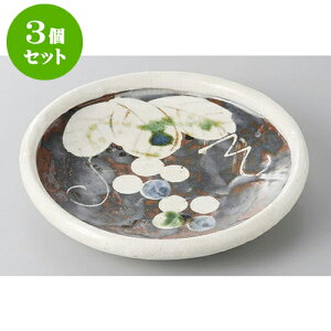 3Zbg aM Ԃǂʔ5M [16.2 x 2.8cm] | M t[cM َqM H Ɩp HX JtF    킢  Mtg v[g o j j 