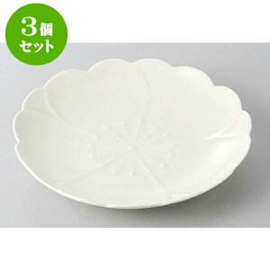 3Zbg aM LcĂ@()MD15cm [15 x 2cm] | M t[cM َqM H Ɩp HX JtF    킢  Mtg v[g o j