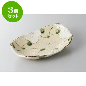 3Zbg ό` iqԒЕM [22 x 15 x 4.5cm] | 蔫  \ 蔫  H Ɩp HX JtF    킢    킢  