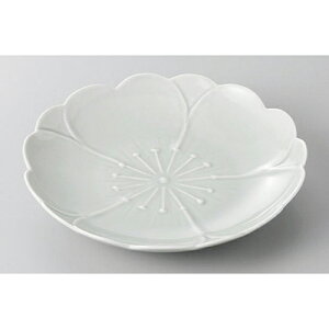 aM LcĂ@(n)MD15cm [15 x 2cm] | M t[cM َqM H Ɩp HX JtF    킢  Mtg v[g o j j