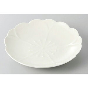 aM LcĂ@()MD15cm [15 x 2cm] | M t[cM َqM H Ɩp HX JtF    킢  Mtg v[g o j j