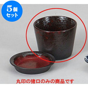 5Zbg Ηpi _ΐ [8 x 6cm 180cc] |    傱  ǂ  lC H Ɩp HX JtF    킢  Mtg v[g 