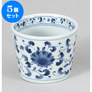 5Zbg Ηpi e\o [8 x 6.5cm 200cc] |    傱  ǂ  lC H Ɩp HX JtF    킢  Mtg v[g 