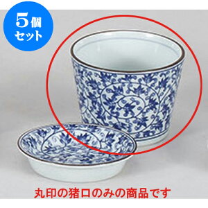 5Zbg Ηpi ΐ [8.3 x 6.3cm] |    傱  ǂ  lC H Ɩp HX JtF    킢  Mtg v[g 