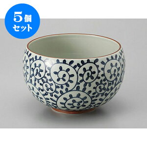 5Zbg  Lcđ [10 x 16cm] | Dݘ Ԃ JtF  [  ǂ {E H Ɩp HX JtF    킢 Mtg v[g a 蕨