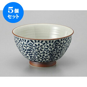 5Zbg  Lcă^R@ʎ蘥() [16 x 9cm] | Dݘ Ԃ JtF  [  ǂ {E H Ɩp HX JtF    킢 Mtg v[g 