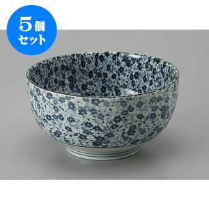 5Zbg  ԂDݘ() [16.3 x 8.3cm] | Dݘ Ԃ JtF  [  ǂ {E H Ɩp HX JtF    킢 Mtg v[g a