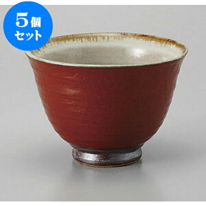 5Zbg ~j Ԋy4.0[ [13 x 9.3cm] | Dݘ Ԃ JtF  [  ǂ {E H Ɩp HX JtF    킢 Mtg v[g a 