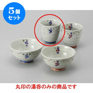 5Zbg r Ԃǂ() [8 x 8cm] | ̂   ꕞ  lC  H Ɩp HX JtF yA    킢 Mtg v[g o a 