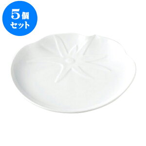 5Zbg fJEFA g}g؃g[ [18.1 x 16.1 x 2cm] | lC  H mH Ɩp HX JtF    킢 Mtg v[g a i HZbg H