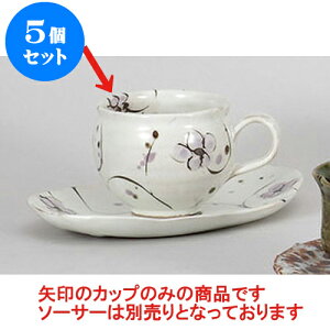 5Zbg qM ԃR[q[q [8.5 x 7cm 220cc] | R[q[ Jbv eB[ g i qM lC  H mH Ɩp HX JtF    킢 Mtg v[g 