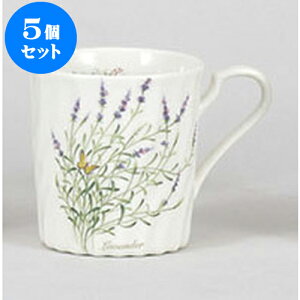 5Zbg }OJbv n[ulW}O@x_[ [8.1 x 8.9cm 300cc] | }O }OJbv R[q[ g eB[ lC  H mH Ɩp HX JtF   Mtg v[