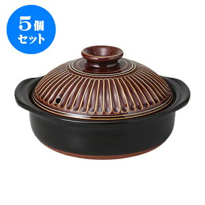 5Zbg y eԃA6 [21 x 19 x 11.5cm] | y  1lp 1l 2lp CX^  قق lC  H Ɩp HX JtF    킢 Mtg 
