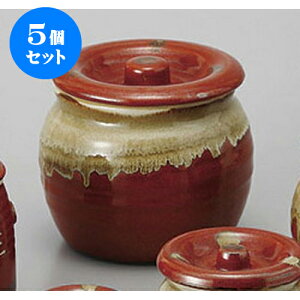 5Zbg J Ԕ5J [13.7 x 12.3cm 1200cc] y   aH HX Ɩpz