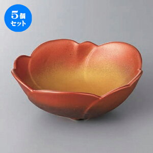 5Zbg  t ʓFt [ 16.5 x 14.1 x 6.2cm ] | aH   {E   ze H Ɩp HX JtF    킢 Mtg v[g j a 