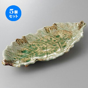 5Zbg ݌ÏĐM r[ht`M [ 41 x 17.5 x 5.5cm ] | lC  H mH Ɩp HX JtF    킢 Mtg v[g a i HZbg