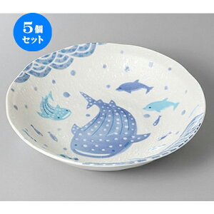 5Zbg g Wx[5.0 [ 16.8 x 4cm ] |   {E {[ H Ɩp HX JtF    킢   Mtg v[g o j j