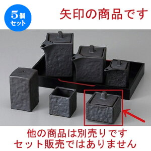 5Zbg  JX^[ Ԃhq [ 5.5 x 5.5 x 5.2cm ] | hq  炵 ł ǂ    lC H Ɩp HX JtF    킢  