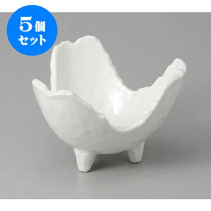5Zbg ό` ֊R [13.5 x 13 x 8.6cm] |     {E \ lC  H Ɩp HX JtF    킢 Mtg v[gj j