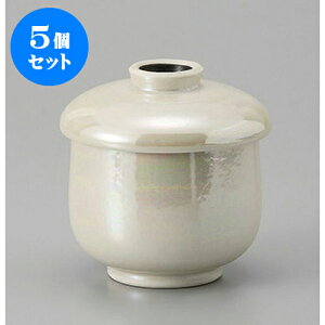 5Zbg ނq X^[q [6.9 x 8cm] | q ނ  i q ނq H Ɩp HX  킢 Mtg v[g o a 蕨 i H