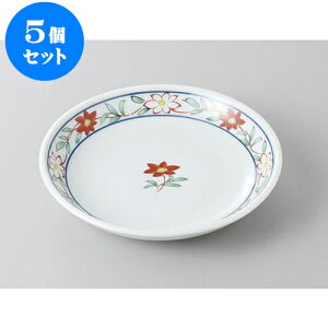 5Zbg gM ԂȂ5.0M [16.8 x 3cm] | gM aM M M  \ H Ɩp HX JtF    킢   Mtg v[g o j 