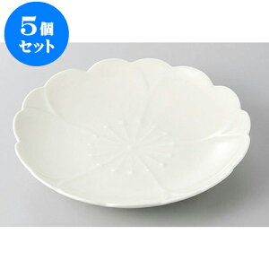 5Zbg aM LcĂ@()MD15cm [15 x 2cm] | M t[cM َqM H Ɩp HX JtF    킢  Mtg v[g o j