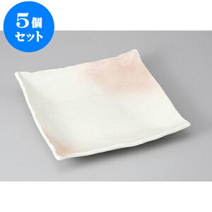 5Zbg pM 퐶ߊpM [25 x 25 x 3cm] | M M lC  t[cM p[eB[ pX^M H Ɩp HX JtF   Mtg v[g o a 