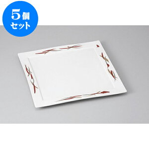 5Zbg pM ԋʍѐp6M [17.7 x 17.7 x 1.5cm] | M M lC  t[cM p[eB[ pX^M H Ɩp HX JtF   Mtg v[g o 