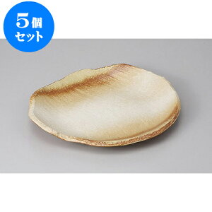 5Zbg ό`M tό^7.0M [20.8 x 18 x 2.5cm] | ό`M M aM lC  H Ɩp HX JtF    Mtg v[g o j j a 