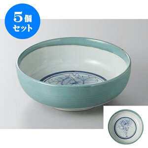 5Zbg 唫E qXCԂǂ7.0{[ [21.5 x 8cm] | 蔫  \ 蔫  H Ɩp HX JtF    킢    킢  