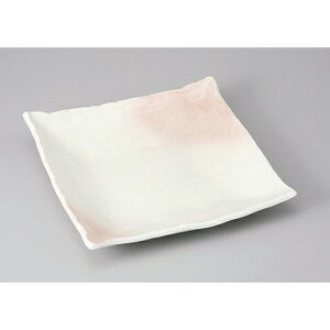 pM 퐶ߊpM [25 x 25 x 3cm] | M M lC  t[cM p[eB[ pX^M H Ɩp HX JtF   Mtg v[g o a 蕨 