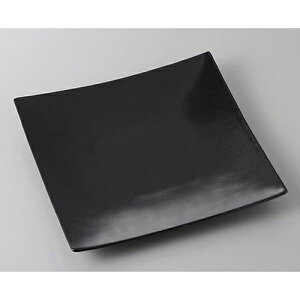 pM 6.0pM [18 x 17.8 x 2.7cm] | M M lC  t[cM p[eB[ pX^M H Ɩp HX JtF   Mtg v[g o a 蕨 i 