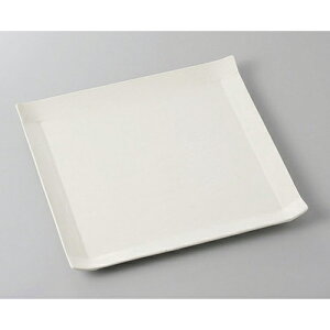 pM RM() [24.5 x 24.5 x 2cm] | M M lC  t[cM p[eB[ pX^M H Ɩp HX JtF   Mtg v[g o a 蕨 