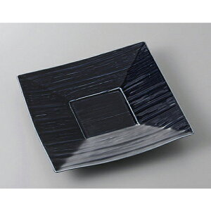 pM ֎lpM() [23.5 x 23.5 x 3cm] | M M lC  t[cM p[eB[ pX^M H Ɩp HX JtF   Mtg v[g o a 蕨 