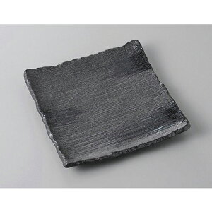 pM ܂Ƃ񐳊pM [19.5 x 19.5 x 2.6cm] | M M lC  t[cM p[eB[ pX^M H Ɩp HX JtF   Mtg v[g o a 蕨 