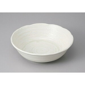 ό` g˕Q7.0 [21.5 x 6.5cm] | 蔫  \ 蔫  H Ɩp HX JtF    킢    킢  