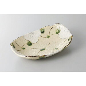 ό` iqԒЕM [22 x 15 x 4.5cm] y | 蔫  \ 蔫  H Ɩp HX JtF    킢    킢  