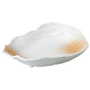  hg ڂ̊^t [ 19.5 x 14 x 4.5cm ] | aH   {E   ze H Ɩp HX JtF    킢 Mtg v[g j a 蕨 