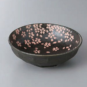   t4.5{[ [ 15 x 4.8cm ] |   蔫 {E   lC H Ɩp HX JtF    킢  Mtg v[g o j j