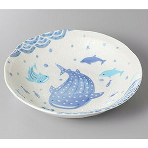  g Wx[5.0 [ 16.8 x 4cm ] |   {E {[ H Ɩp HX JtF    킢   Mtg v[g o j j a 