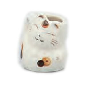 Lk} [ 5 x 4.8 x 5.8cm ] [ ㏬ ] | 悤 k}  ł ǂ    lC H Ɩp HX JtF    킢   Mtg v[g 