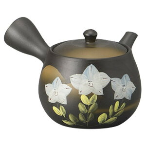 D傤}{(₩A~)16 x 13 x 9cm 380cc ] | |bg }{ イ yr  ꕞ ܂ lC  H Ɩp HX JtF    킢 Mtg v[g 