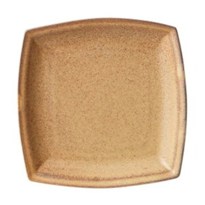 (uE)XNGAv[g S [ 13.3 x 13.3 x 1.7cm ]| M T_ pX^ M v[g lC  H mH Ɩp HX JtF    킢 Mtg v[