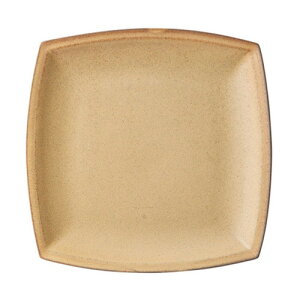 (uE)XNGAv[g L [ 22.2 x 22.2 x 2.3cm ]| M T_ pX^ M v[g lC  H mH Ɩp HX JtF    킢 Mtg v[