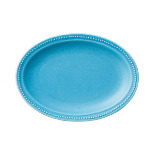 dot rim22cmI[ov[g(^[RCY) [ 21.7 x 15.7 x 2.5cm ] | M v[g p[eB lC  H mH Ɩp HX JtF    킢 Mtg v[g o